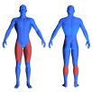 Body-Solid DCLP-SF vízszintes lábtoló/vádligép
